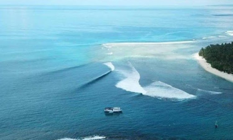 Daya Tarik Pulau Siberut