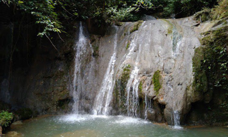 Daya Tarik Taman Nasional Bukit Barisan Selatan