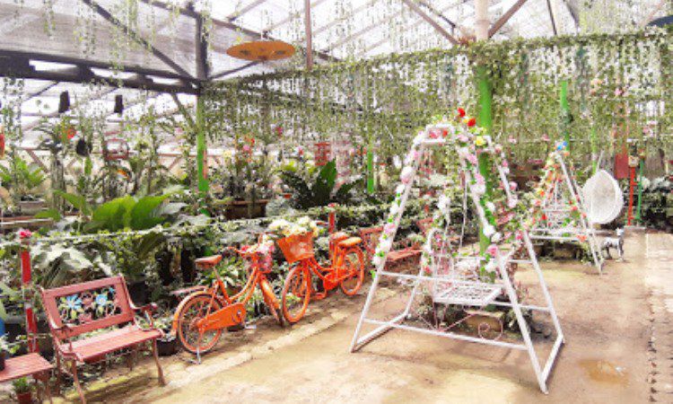Fasilitas di Green House Lezatta