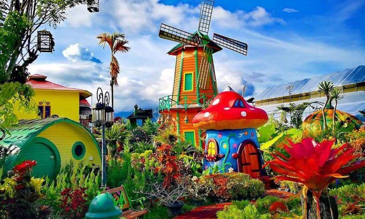 Green House Lezatta, Spot Foto Kekinian Berlatar Taman Bunga Cantik di Agam