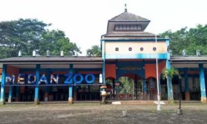 Kebun Binatang Medan, Tempat Rekreasi & Sarana Edukasi untuk Liburan Keluarga
