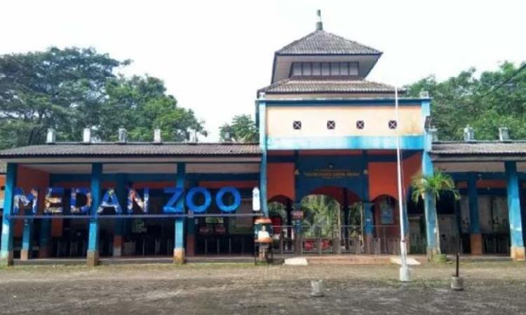 Kebun Binatang Medan, Tempat Rekreasi & Sarana Edukasi untuk Liburan Keluarga