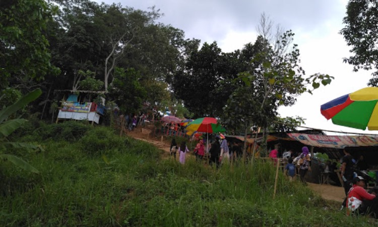 Kegiatan Menarik Bukit Pangonan