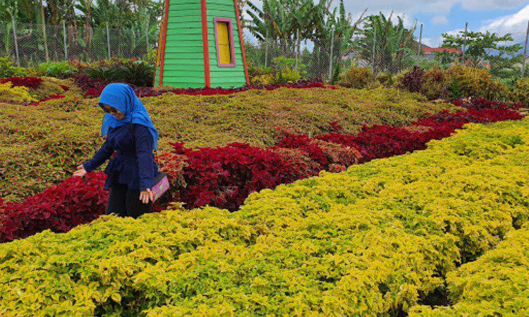 Kegiatan Menarik Green House Lezatta