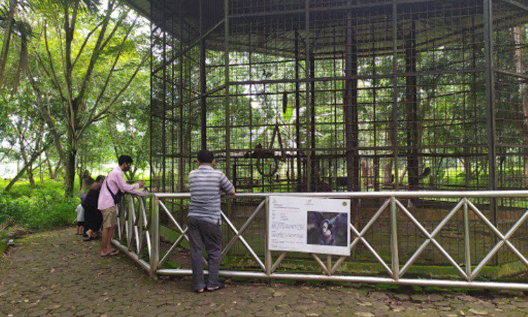Kegiatan Menarik Kebun Binatang