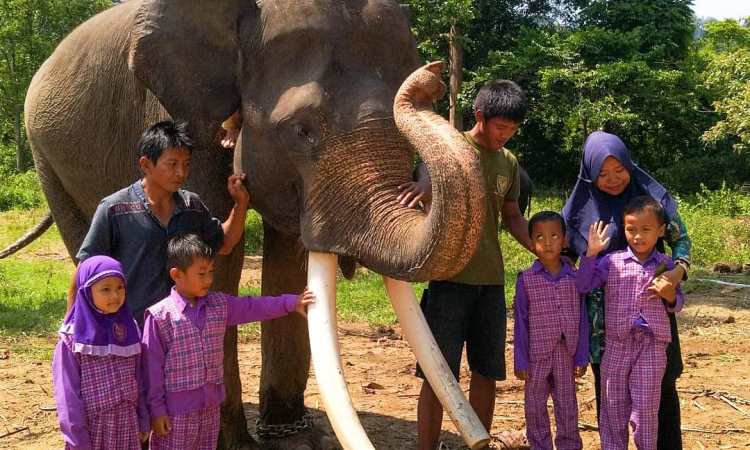 Kegiatan Menarik TN Bukit Barisan Selatan