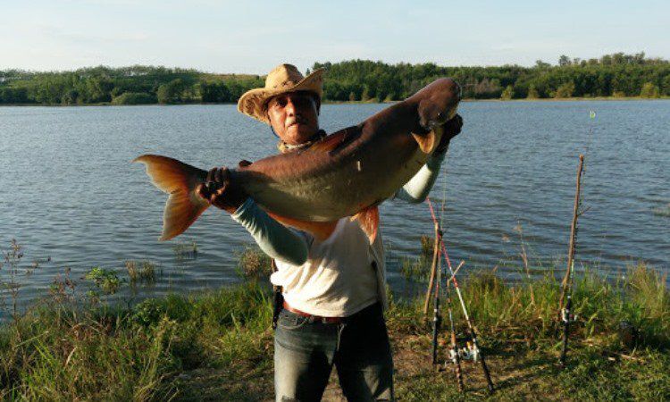 Kegiatan Menarik di Danau Buatan