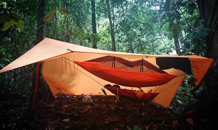 Kegiatan di TN Bukit Barisan Selatan