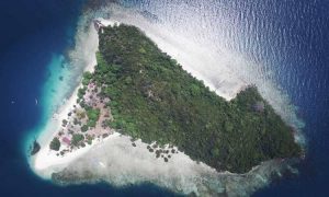 Pesona Pulau Tangkil, Surga Bahari Tersembunyi di Pesawaran