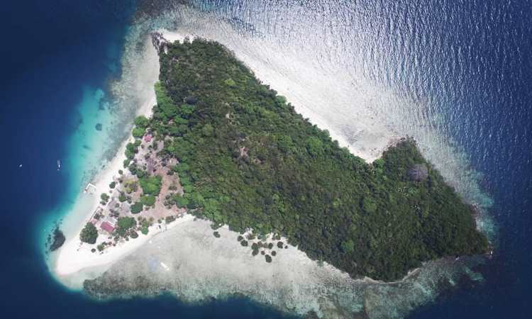 Pesona Pulau Tangkil, Surga Bahari Tersembunyi di Pesawaran