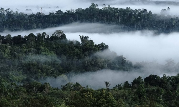 Taman Nasional Bukit Barisan Selatan, Wisata Alam yang Kaya Pesona di Lampung