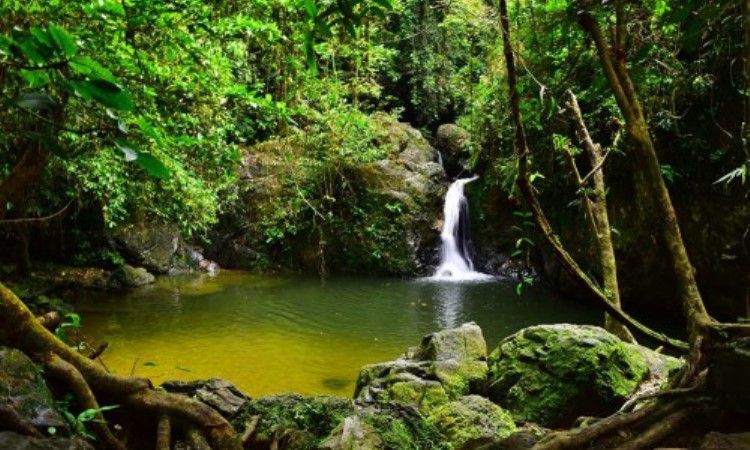 10 Air Terjun Cantik di Kampar yang Wajib Anda Kunjungi