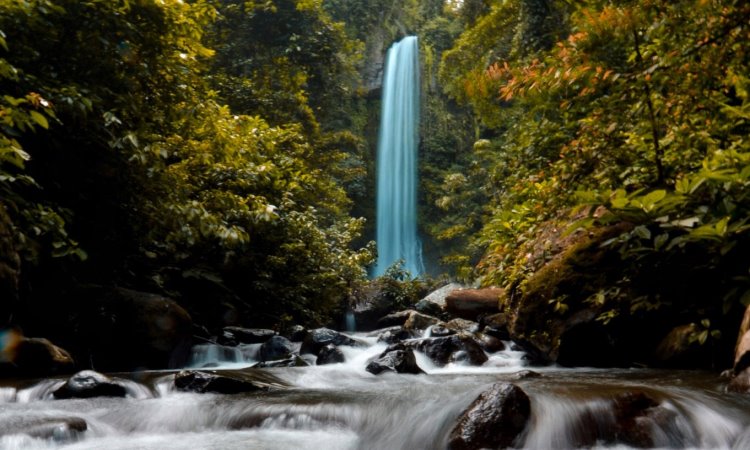 Air Terjun Way Tayas