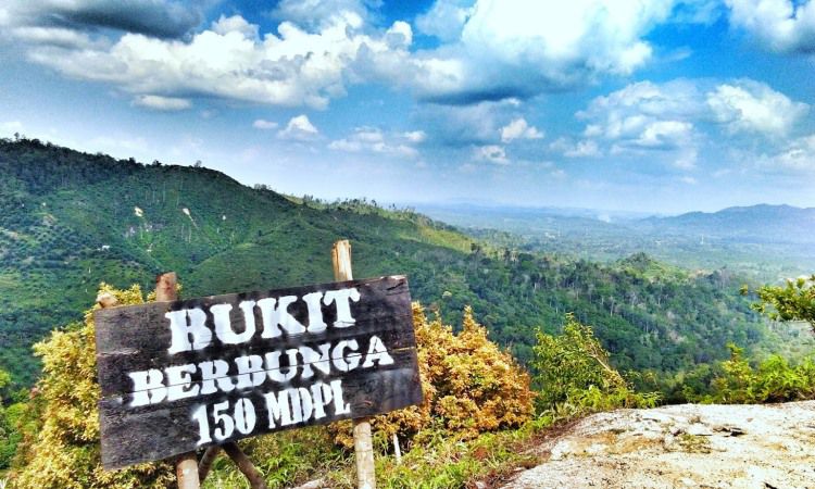 Bukit Berbunga