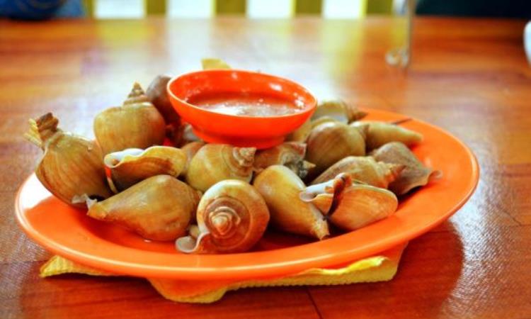 Gonggong tanjung pinang