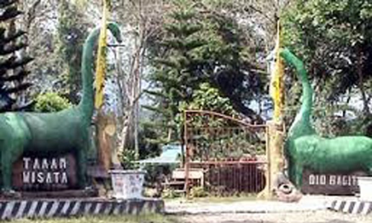 Kebun Binatang Diobagitte