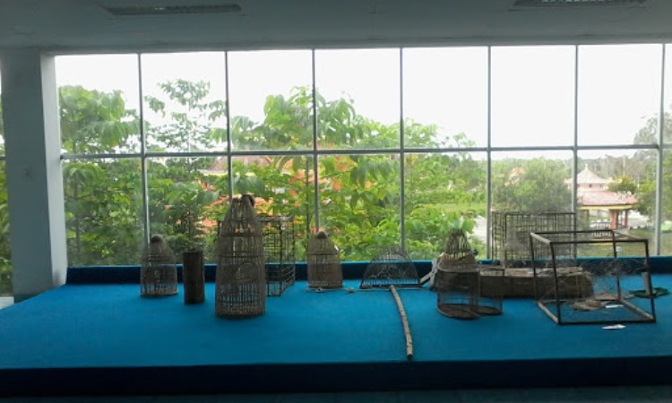 Museum Kupu-Kupu