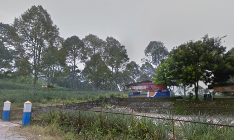 Parhonasan Daihonas Lae Parira