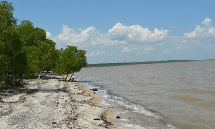 Rawa Gambut Pulau Cawan