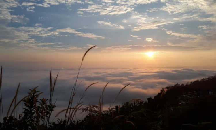 Taman Nasional Bukit Suligi