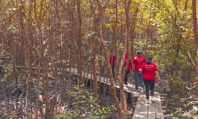 Aktivitas Bandar Bakau Dumai