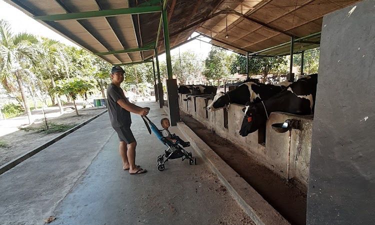 Aktivitas Bangka Botanical Garden