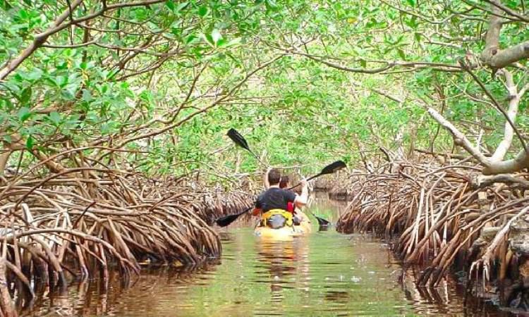 Aktivitas Seru Bandar Bakau Dumai