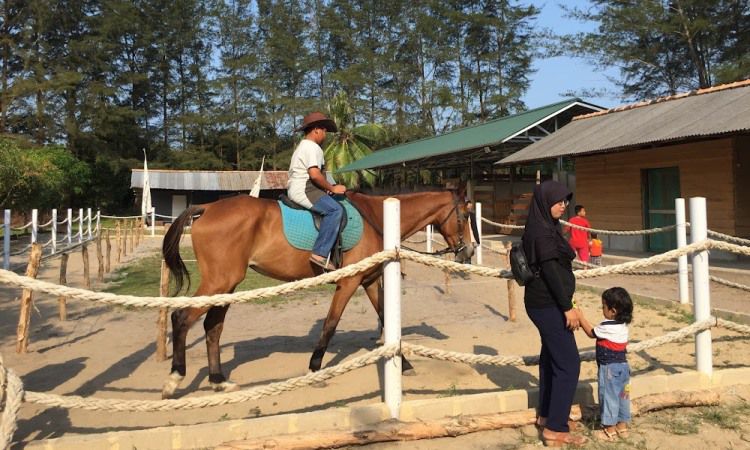 Aktivitas Seru Bangka Botanical Garden