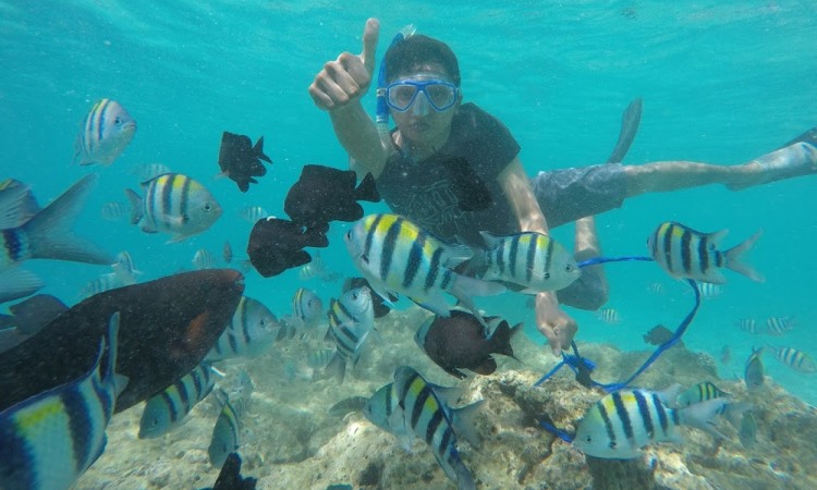 Aktivitas Seru Pulau Rubiah Sabang