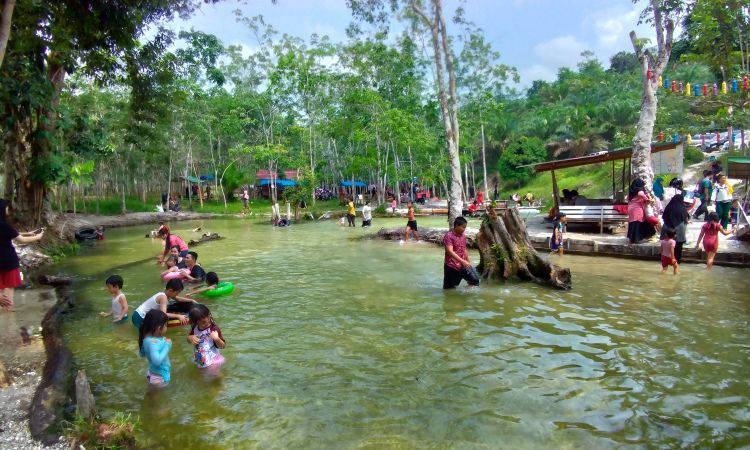 Aktivitas Seru Sungai Hijau Kampar