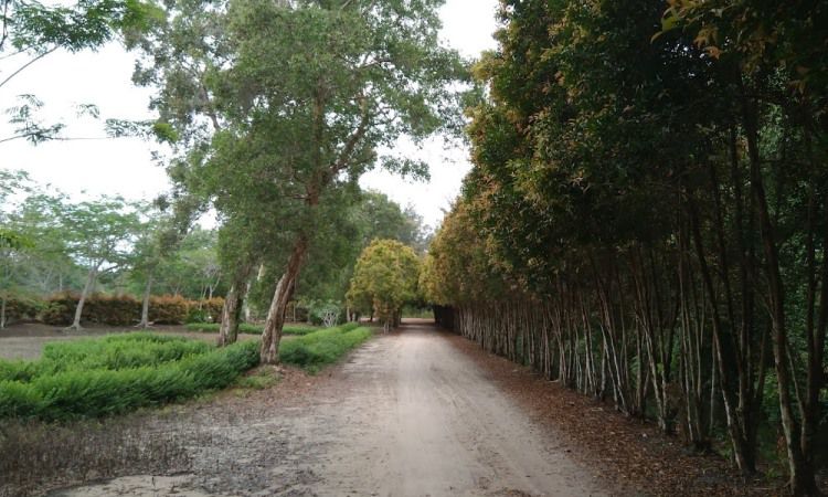 Alamat Bangka Botanical Garden
