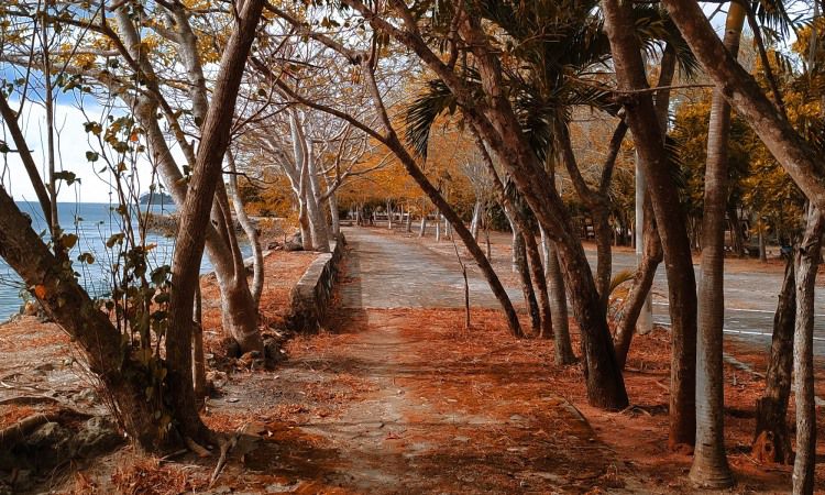 Alamat Pantai Duta Wisata Lampung