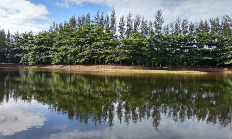 Daya Tarik Dimiliki Bangka Botanical Garden