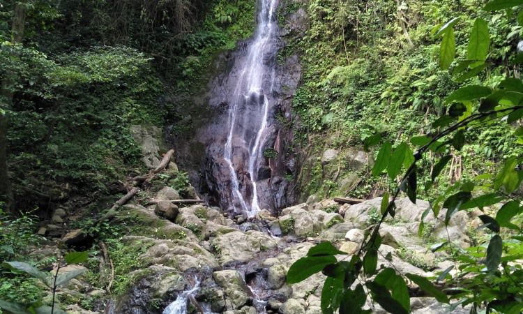 Daya Tarik Dimiliki Gunung Betung Lampung_compressed