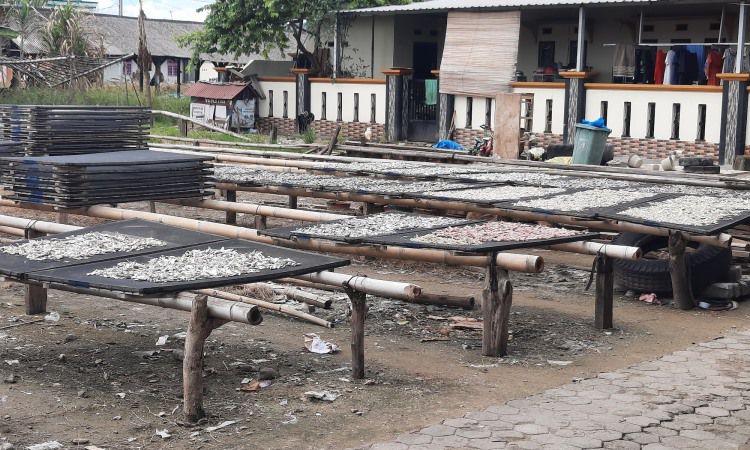 Daya Tarik Dimiliki Pulau Pasaran Lampung_compressed