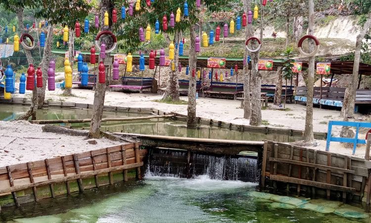 Daya Tarik Sungai Hijau Kampar