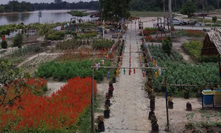 Daya Tarik Taman Bunga Impian Okura