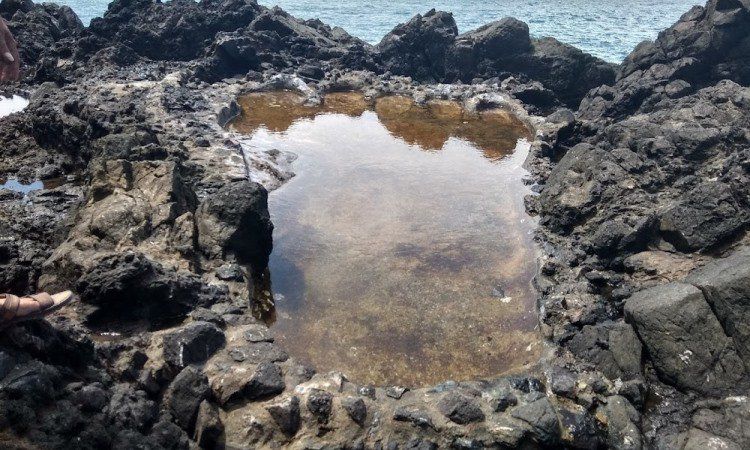 Daya Tarik Tapak Tuan Tapa