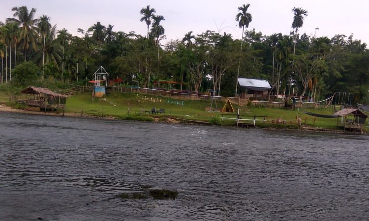 Daya Tarik Wisata Sungai Gelombang Kampar