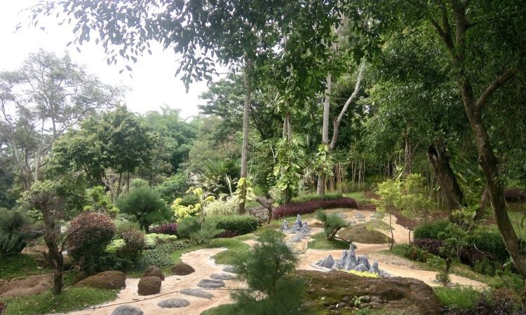 Daya Tarikk Dimiliki Alam Wawai Lampung_compressed