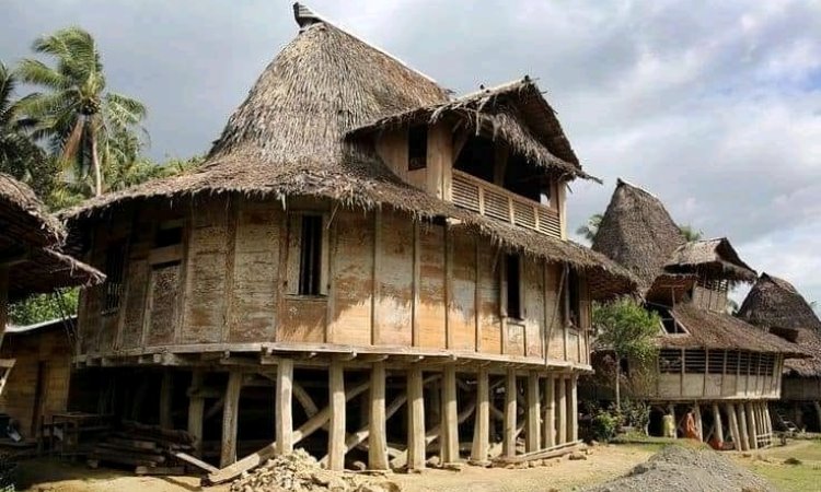 Desain Bangunan Omo Sebua dan Omo Hada