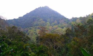 Gunung Betung, Objek Wisata Alam yang Kaya Pesona di Lampung