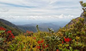 Gunung Kunyit, Panorama Keindahan Alam yang Berbalut Cerita Mistis di Kerinci