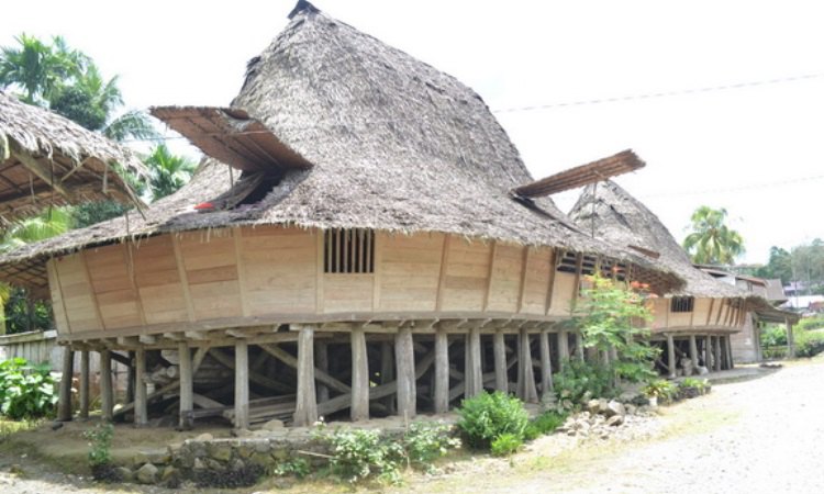Keunikan Rumah Adat Tradisional Nias