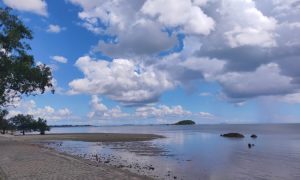 Pantai Tanjung Pendam Belitung1