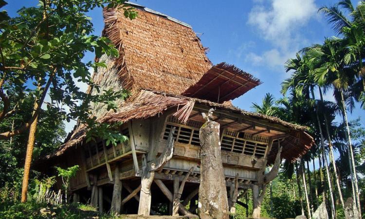 Sejarah Rumah Adat Omo Sebua & Omo Hada