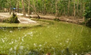 Wisata Sungai Hijau, Destinasi Wisata Alam yang Memesona di Kampar
