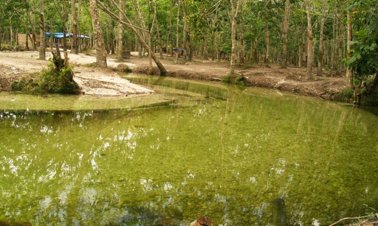 Wisata Sungai Hijau, Destinasi Wisata Alam yang Memesona di Kampar