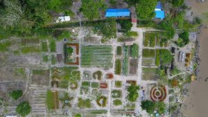 Bandar Bakau Dumai, Wisata Hutan Mangrove & Sarana Edukasi Favorit