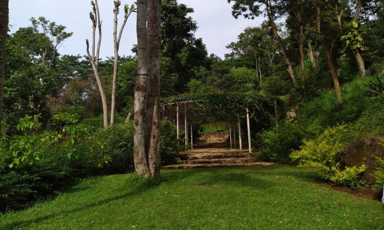 Tiket Alam Wawai Lampung_compressed